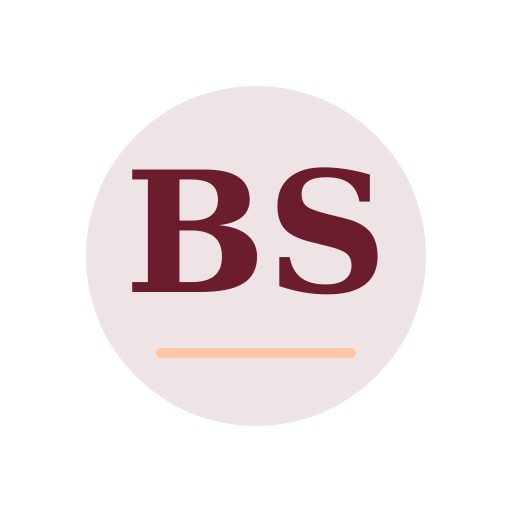 Blue Stone Dryer Cleaning Services logo